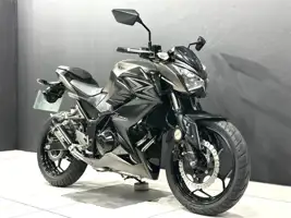 2016 Kawasaki Z 300 specs
